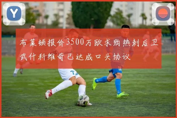 布莱顿报价3500万欧求购热刺后卫武什科维奇已达成口头协议